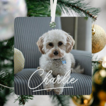 ペッモダント写真クリスマス