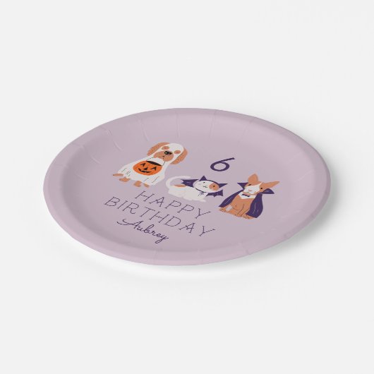 ペッ不気味ツハロウィーン誕生パーティー ペーパープレート (アングル)