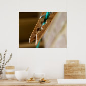 ペッ恋しく思グ・ポスター ポスター (キッチン)