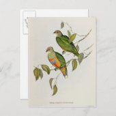 ペティリノプスウェンギ ポストカード (正面/裏面)