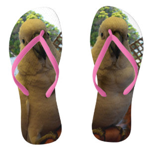 ペティ・ボーイ・ホワイト・コッカトゥー、ビーチサンダル ビーチサンダル