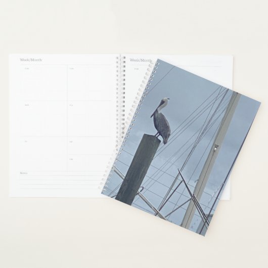 ペテザペリカン プランナー手帳 (ディスプレー)