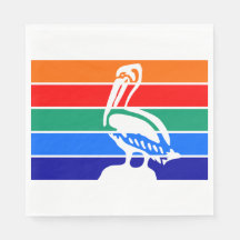 ペテルブルク市国旗（フロリダ）