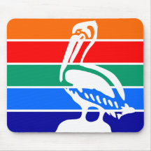 ペテルブルク市国旗（フロリダ）