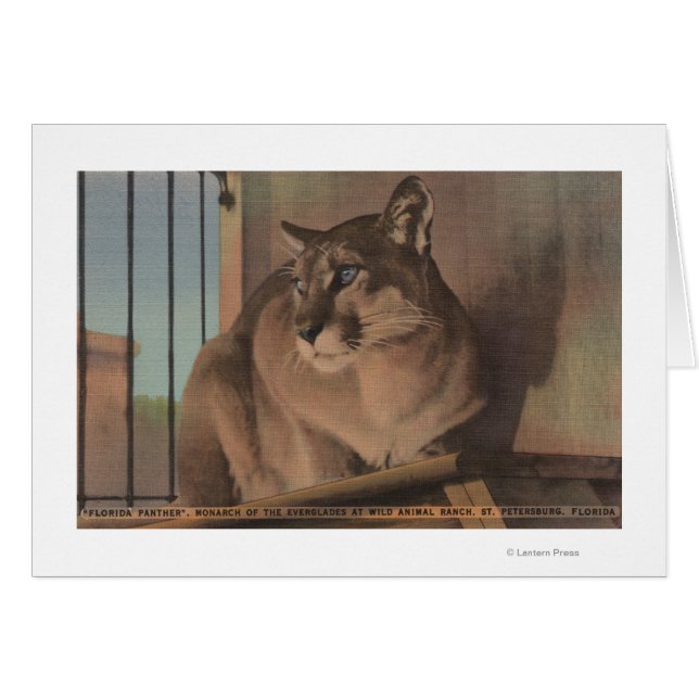 ペテルブルク，フロリダ – フロリダ写真 (正面横)