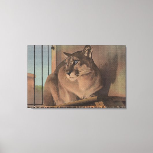 ペテルブルク,フロリダ – フロリダ写真 キャンバスプリント (正面)