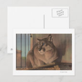 ペテルブルク,フロリダ – フロリダ写真 ポストカード (正面/裏面)