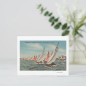 ペテルブルク,フロリダ – レガッタ稲妻の表示 ポストカード (スタンド正面)