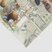 ペテロウサギ組成 薄葉紙 (詳細)