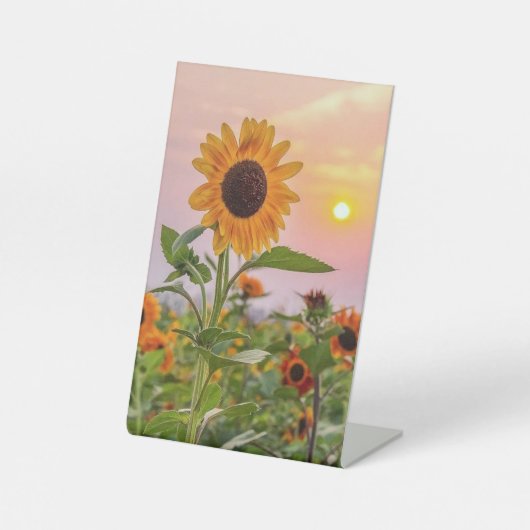 ペデスタル標識 台座サイン (正面)