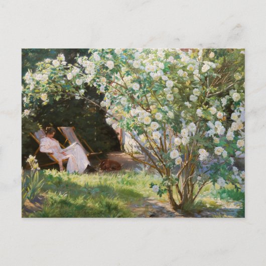 ペデルセベリンクロエ – バラ ポストカード (正面)