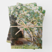 ペデルセベリンクロエ – バラ ラッピングペーパーシート (インサイチュ)