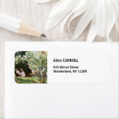 ペデルセベリンクロエ – バラ ラベル (インサイチュ)