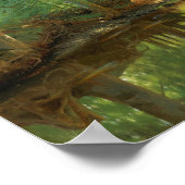 ペデルモールムンステッド森林ストリーム1896 ポスター (角)