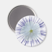 ペトゥニアスターバスト マグネット (正面/裏面)