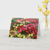 ペトゥニア カード (黄色い花)