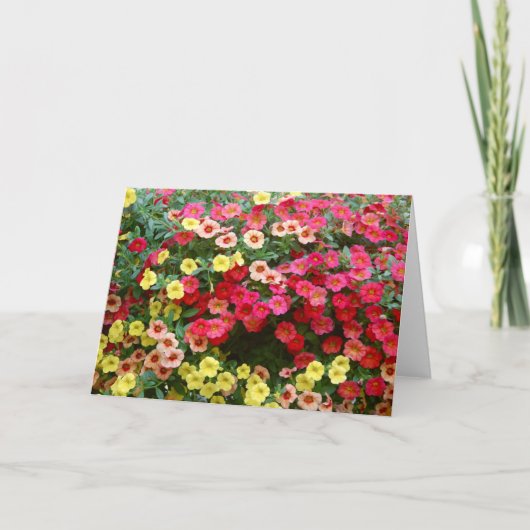 ペトゥニア カード (正面)