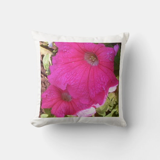 ペトゥニア クッション (正面)