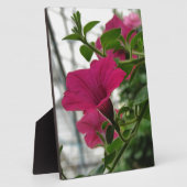 ペトゥニア フォトプラーク (側面)