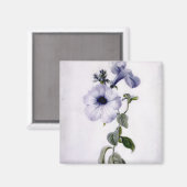 ペトゥニア マグネット (正面/裏面)