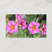 ペトゥニア 名刺 (裏面)