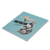 ペトスキーの石が詰まったミシガンシルエット タイル (側面)