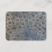 ペトスキーストーンデザイン 名刺 (裏面)