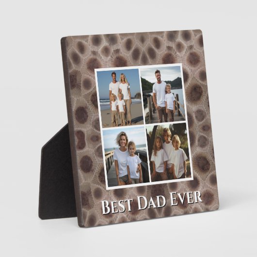 ペトスキーストーンミシガン州ストーン最高のパパエバー フォトプラーク (正面)