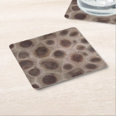 ペトスキーストーンミシガン州石化石 スクエアペーパーコースター (アングル)