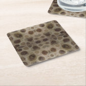ペトスキーストーンミシガン州石化石 スクエアペーパーコースター (アングル)