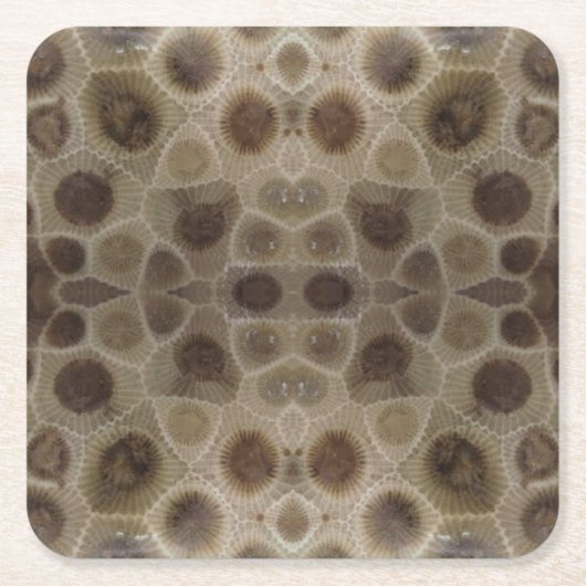 ペトスキーストーンミシガン州石化石 スクエアペーパーコースター (正面)