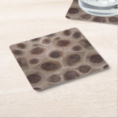 ペトスキーストーンミシガン州石化石 スクエアペーパーコースター (アングル)