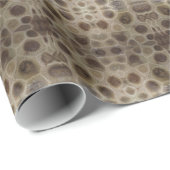 ペトスキーストーンミシガン州石化石 ラッピングペーパー (ロールコーナー)