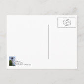 ペトスキータワー ポストカード (裏面)