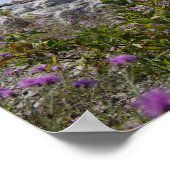 ペトスキーミシガン ポスター (角)