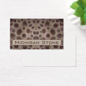 ペトスキー石 (デスク)