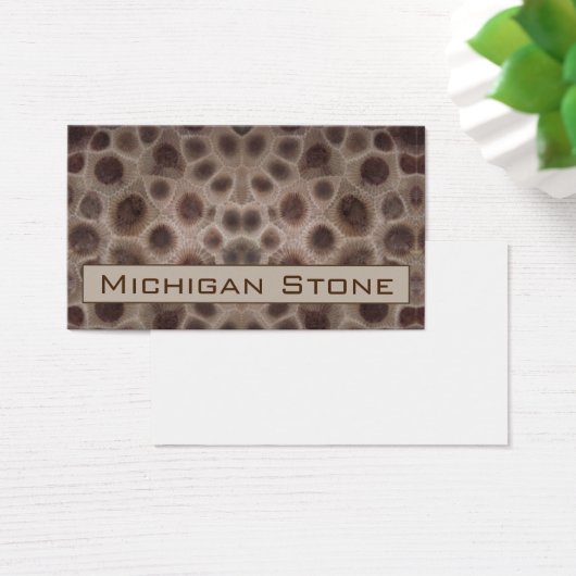 ペトスキー石 (デスク)