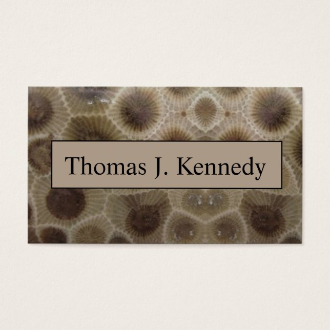 ペトスキー石 (正面)