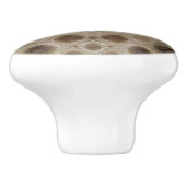 ペトスキー石 セラミックノブ (側面)