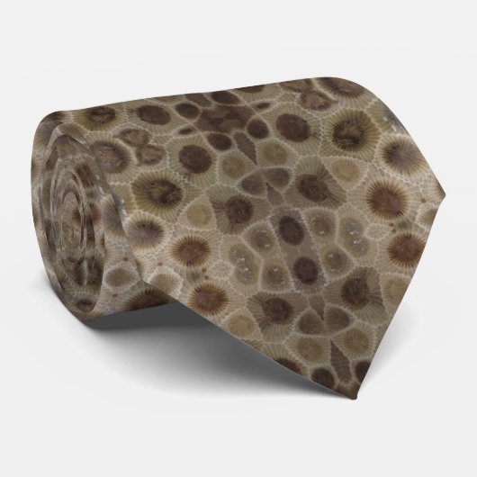 ペトスキー石 ネクタイ (ロール)