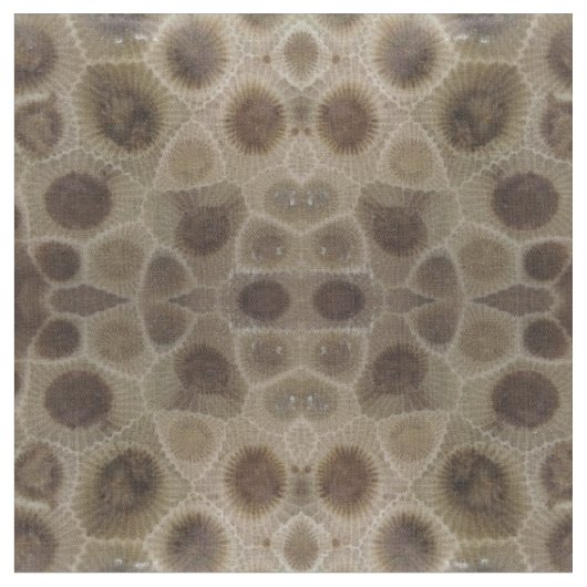 ペトスキー石 ファブリック (クローズアップ)