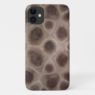 ペトスキー石 iPhone 11 ケース