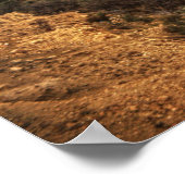 ペトラの新しい都市 ポスター (角)