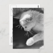 ペトラの火がついた ポストカード (正面/裏面)