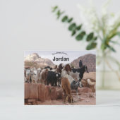 ペトラヨルダンのヤギ ポストカード (スタンド正面)