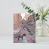 ペトラロバ葉書 ポストカード (スタンド正面)