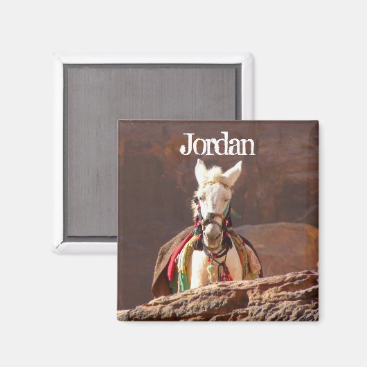 ペトラ・ジョーダン・ホワイト・ミュール マグネット (正面/裏面)