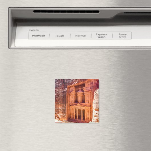 ペトラ マグネット (インサイチュ (食洗機))