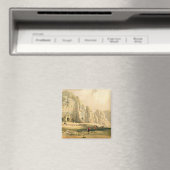 ペトラ、1839年3月8日、プレート96の第3巻 マグネット (インサイチュ (食洗機))