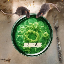 ペトリディッシュ紙プレート, 7"ラウンド紙プレート ペーパープレート